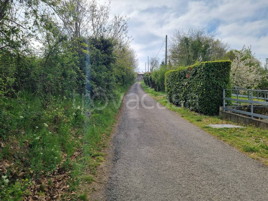 immagine annuncio 6 di 7