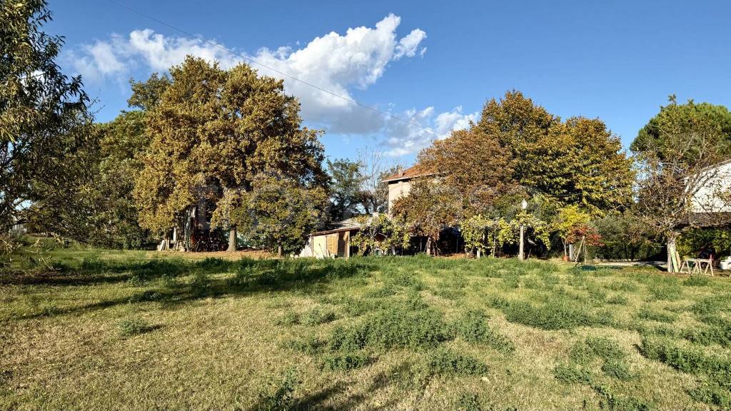 immagine annuncio 8 di 12