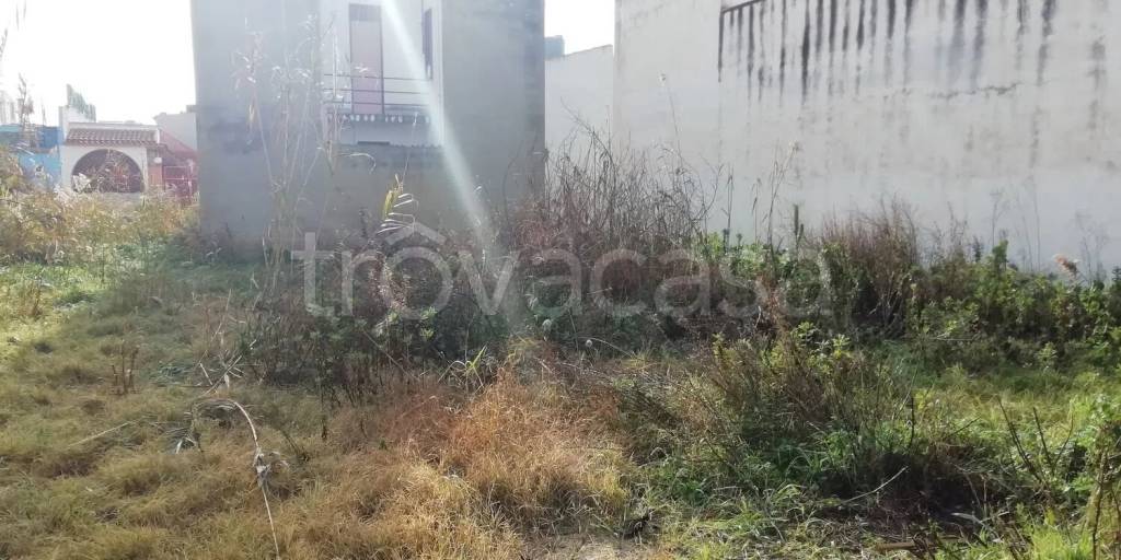 immagine annuncio 4 di 14