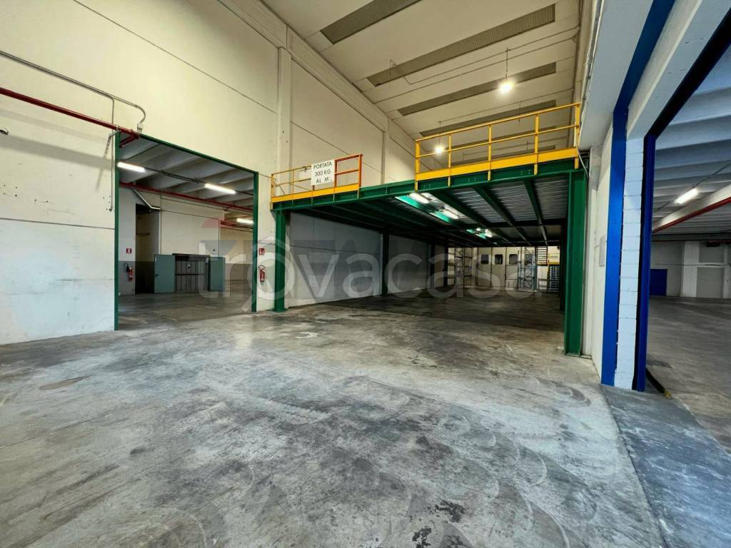 immagine annuncio 10 di 15