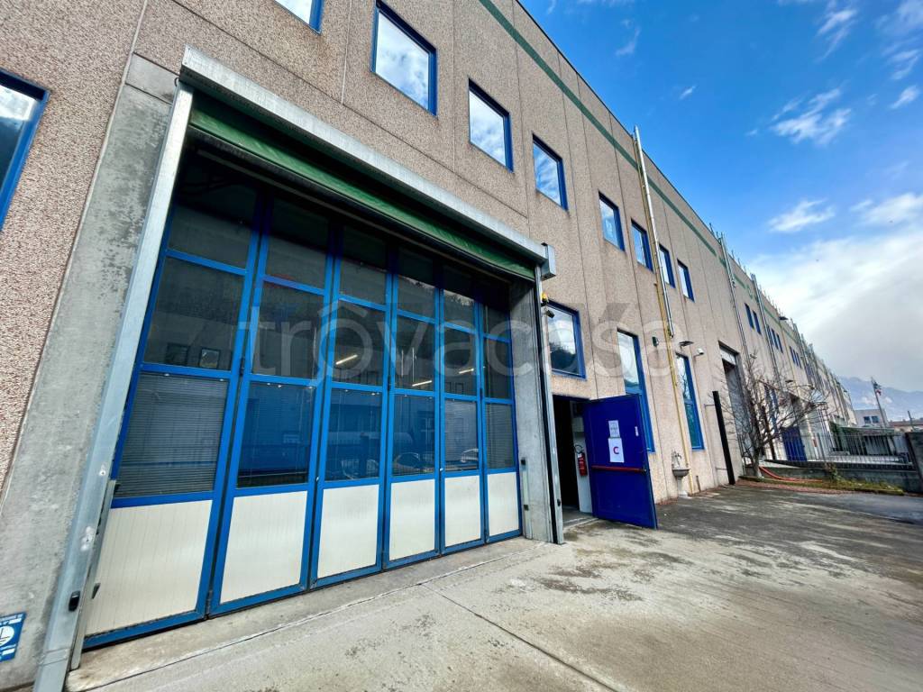 immagine annuncio 13 di 15