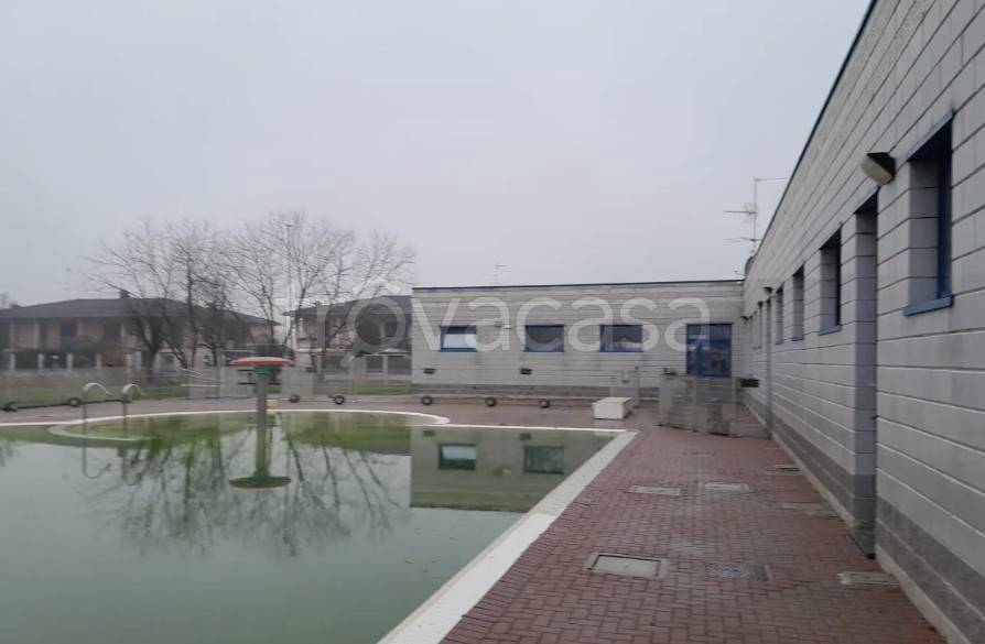 immagine annuncio 5 di 10