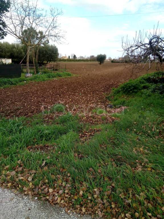 immagine annuncio 2 di 8