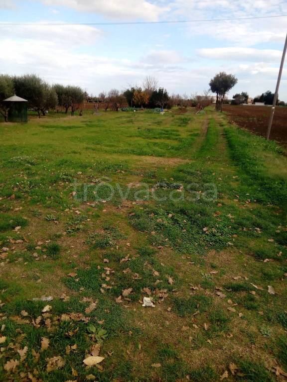 immagine annuncio 4 di 8