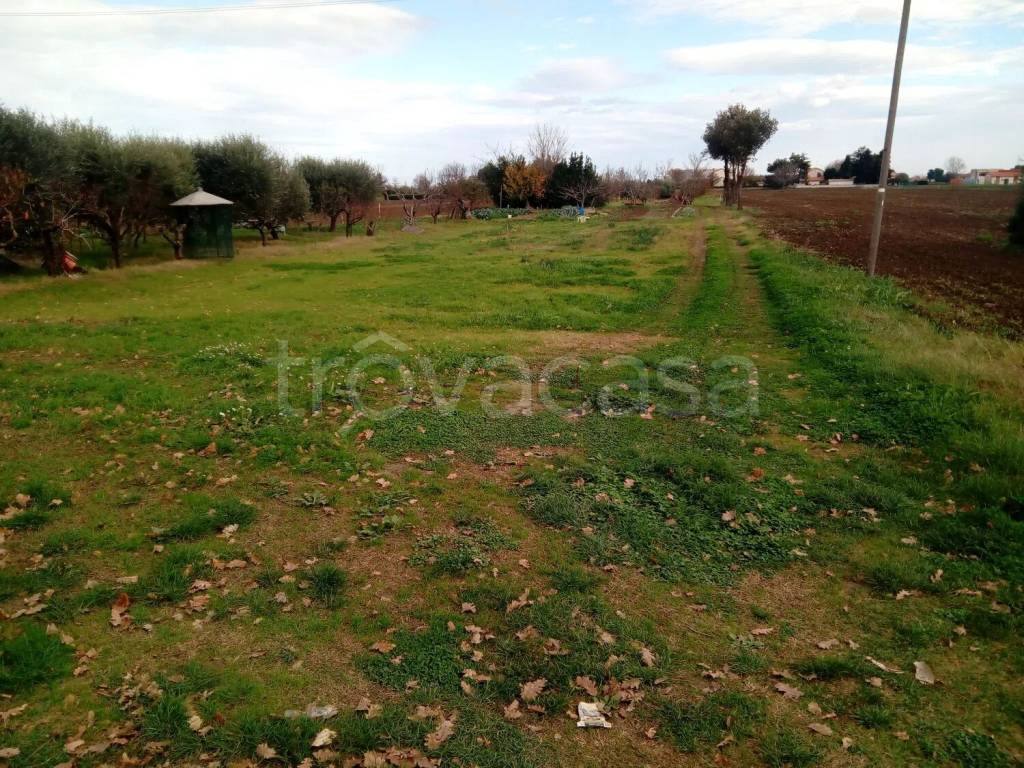 immagine annuncio 5 di 8