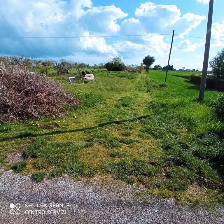 immagine annuncio 6 di 8