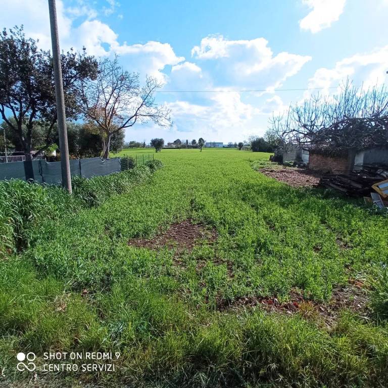 immagine annuncio 7 di 8