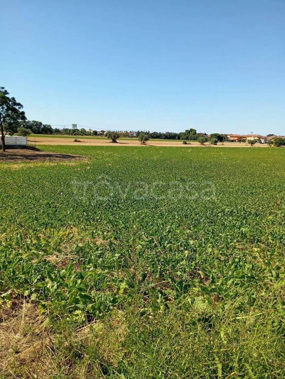 immagine annuncio 4 di 8