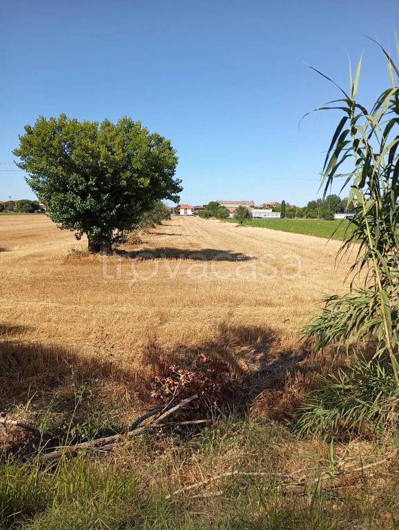 immagine annuncio 6 di 8