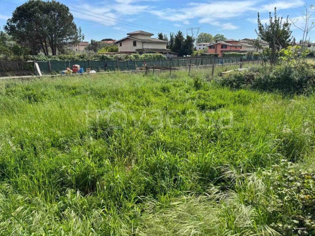 immagine annuncio 2 di 14