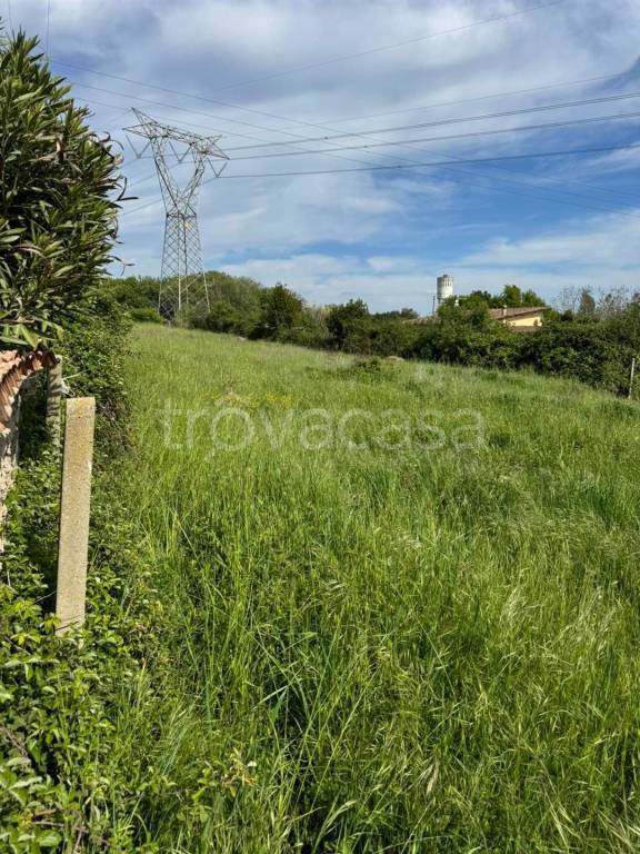 immagine annuncio 3 di 14