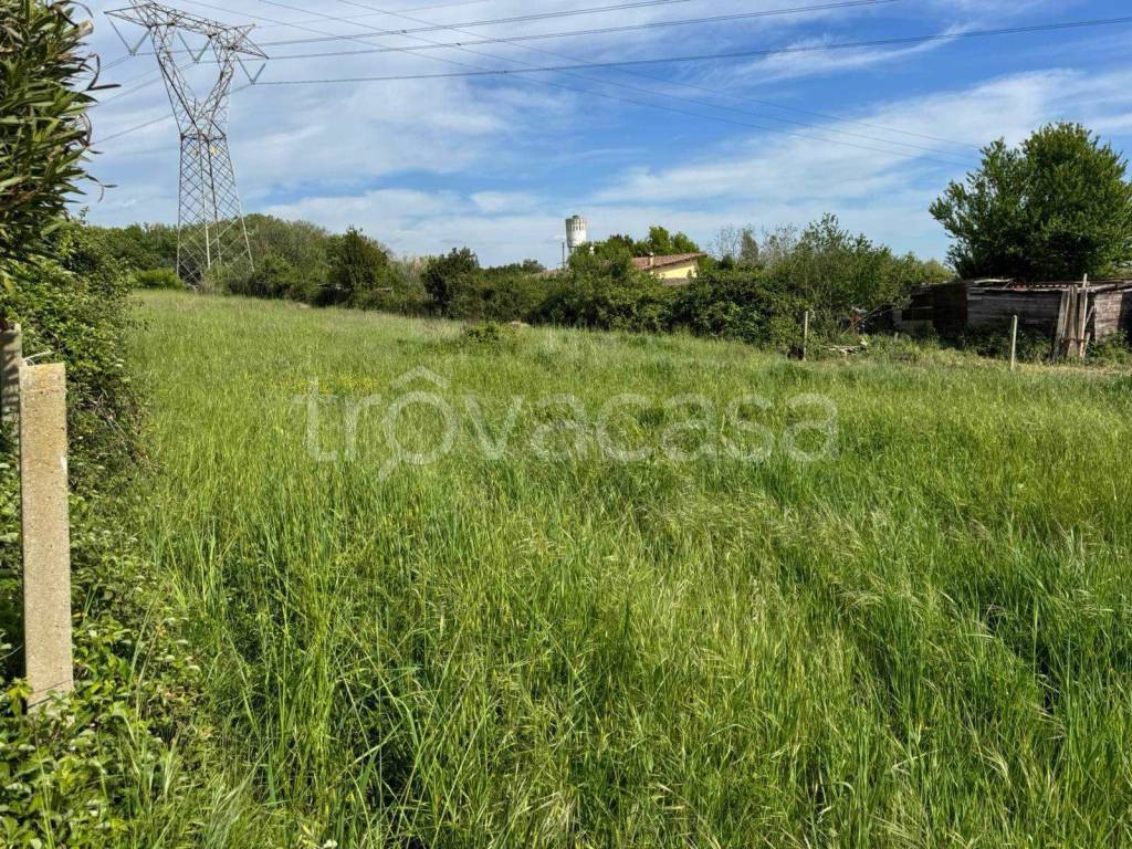 immagine annuncio 4 di 14