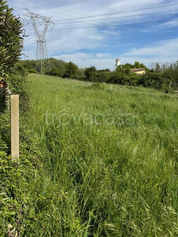 immagine annuncio 5 di 14