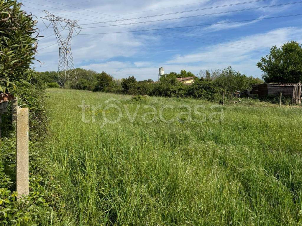 immagine annuncio 6 di 14