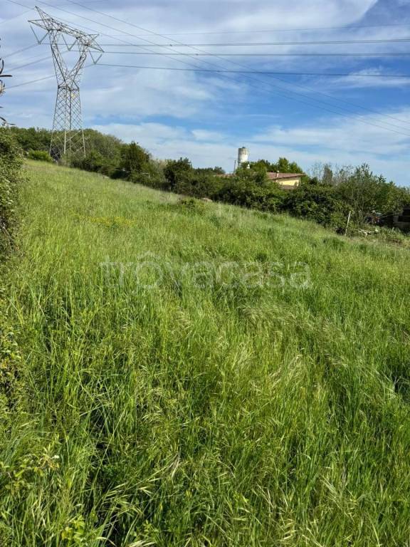 immagine annuncio 7 di 14