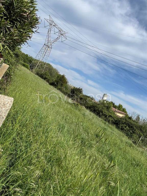 immagine annuncio 8 di 14