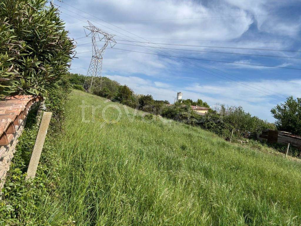 immagine annuncio 9 di 14