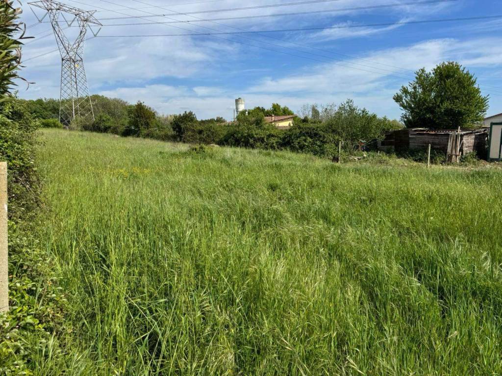 immagine annuncio 10 di 14