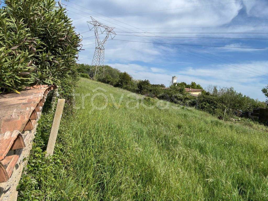 immagine annuncio 11 di 14