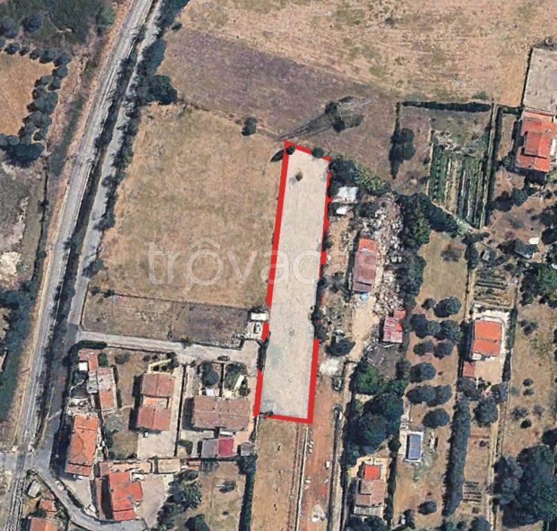 immagine annuncio 12 di 14