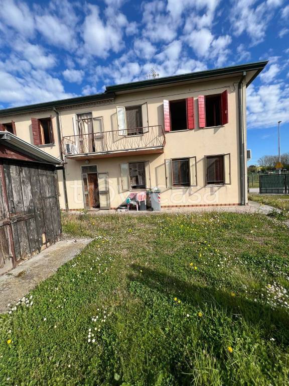 immagine annuncio 2 di 9