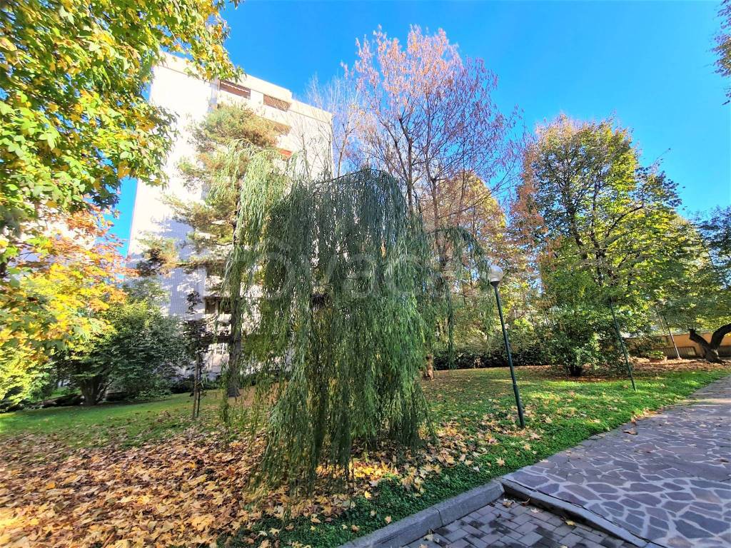 immagine annuncio 4 di 11