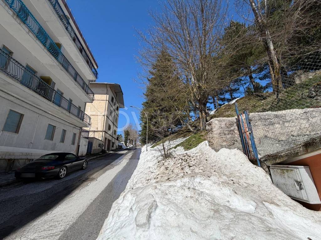 immagine annuncio 3 di 8