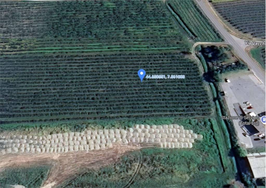 immagine annuncio 2 di 11