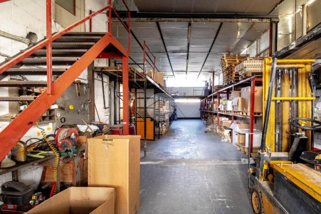 immagine annuncio 9 di 15