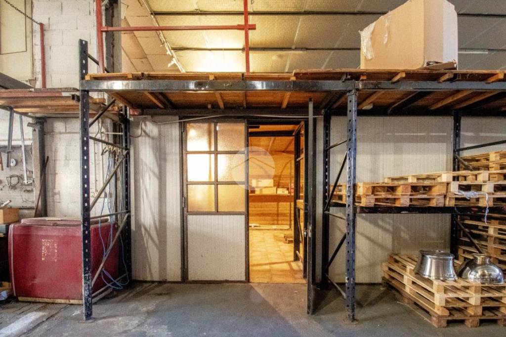 immagine annuncio 12 di 15