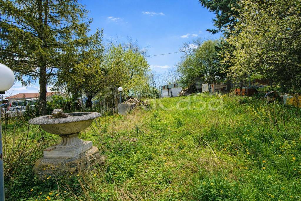 immagine annuncio 2 di 14