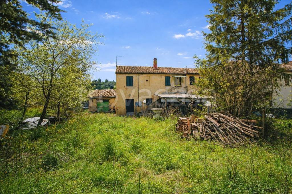 immagine annuncio 3 di 14