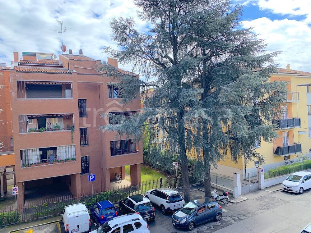 immagine annuncio 4 di 14