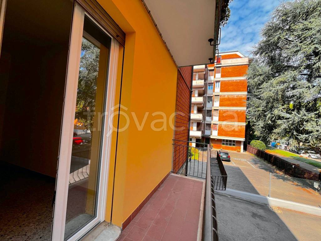 immagine annuncio 6 di 14