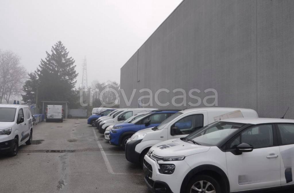immagine annuncio 6 di 15