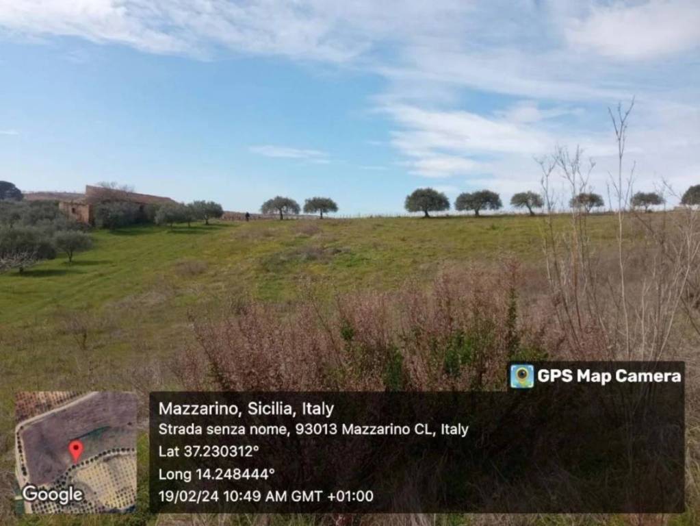 immagine annuncio 3 di 11