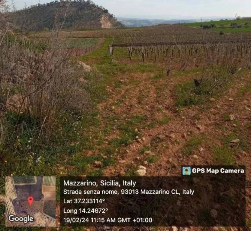 immagine annuncio 9 di 11