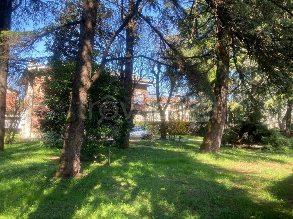 immagine annuncio 1 di 14