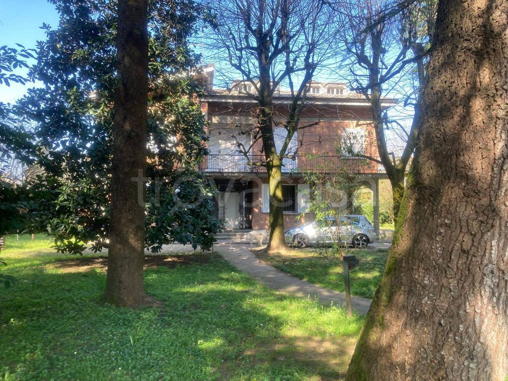 immagine annuncio 2 di 14