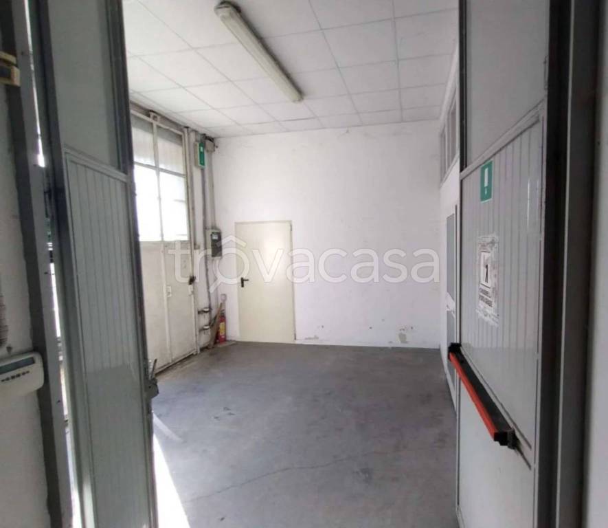 immagine annuncio 9 di 12