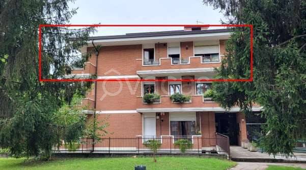 immagine annuncio 5 di 15