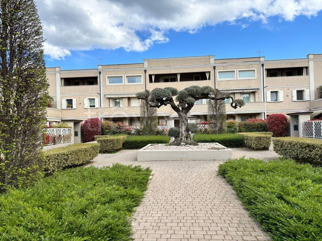 immagine annuncio 3 di 15