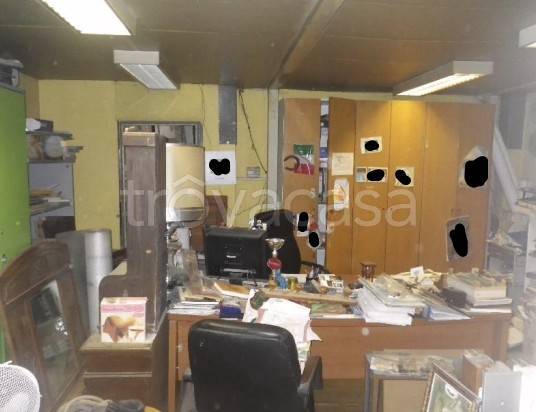 immagine annuncio 4 di 8