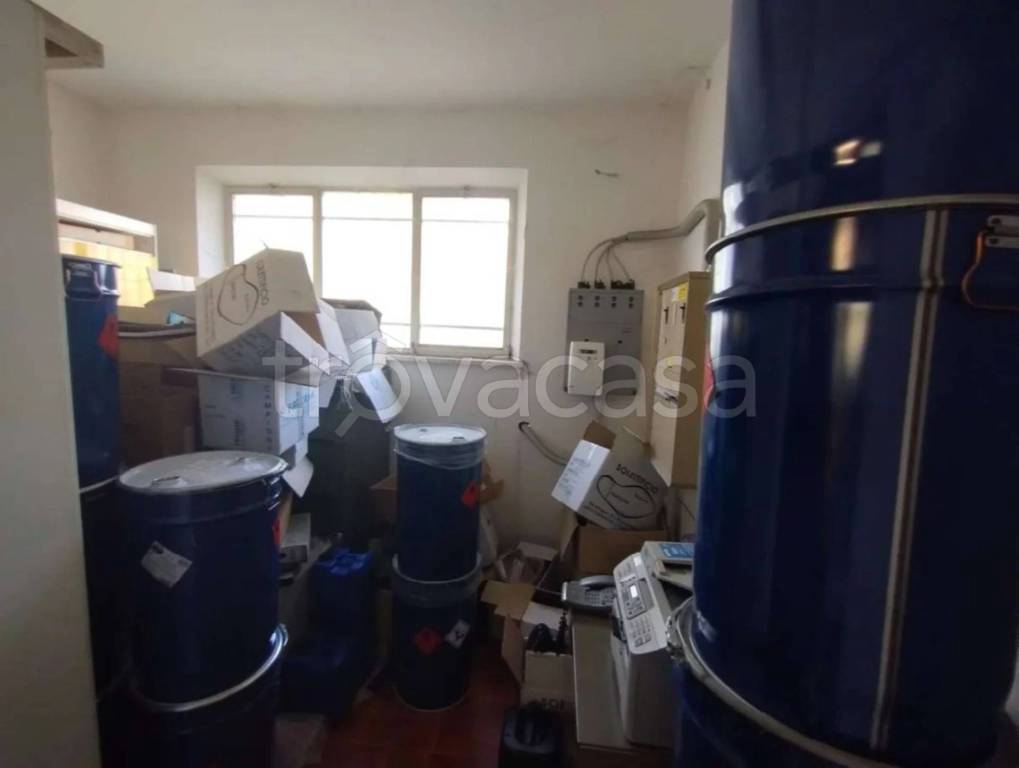 immagine annuncio 10 di 12