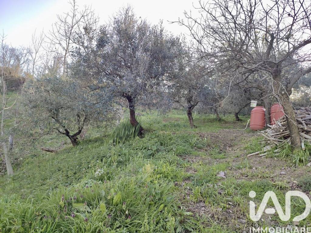 immagine annuncio 1 di 3