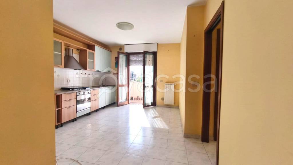 immagine annuncio 1 di 14