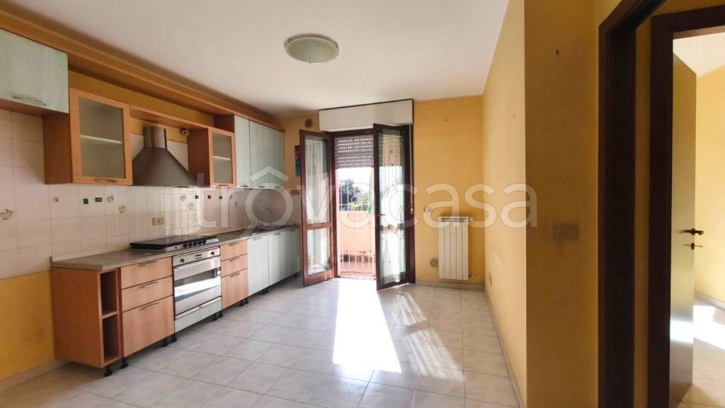 immagine annuncio 2 di 14