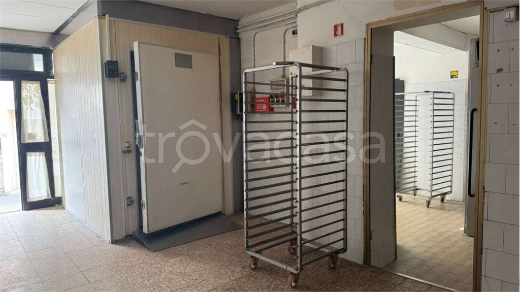 immagine annuncio 5 di 13