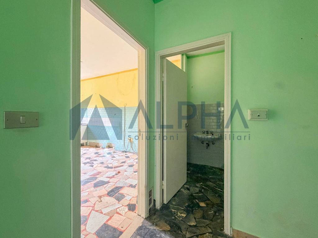 immagine annuncio 3 di 11