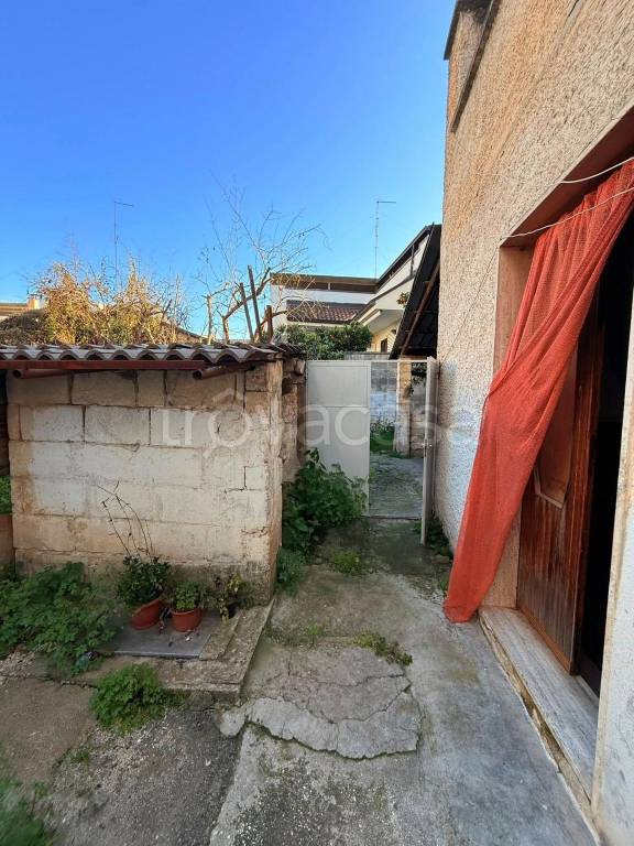 immagine annuncio 1 di 11